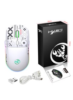 HXSJ NEW T90 Three-Mode 2.4G Water Transfer Wireless Mouse RGB Light-Emitting Wireless Game TYPE-C Charging Mouse - pzsku/Z1B5F6080890CD8B74ED5Z/45/_/1735043296/b89bf982-782b-4577-8b3f-a01d8270db3b