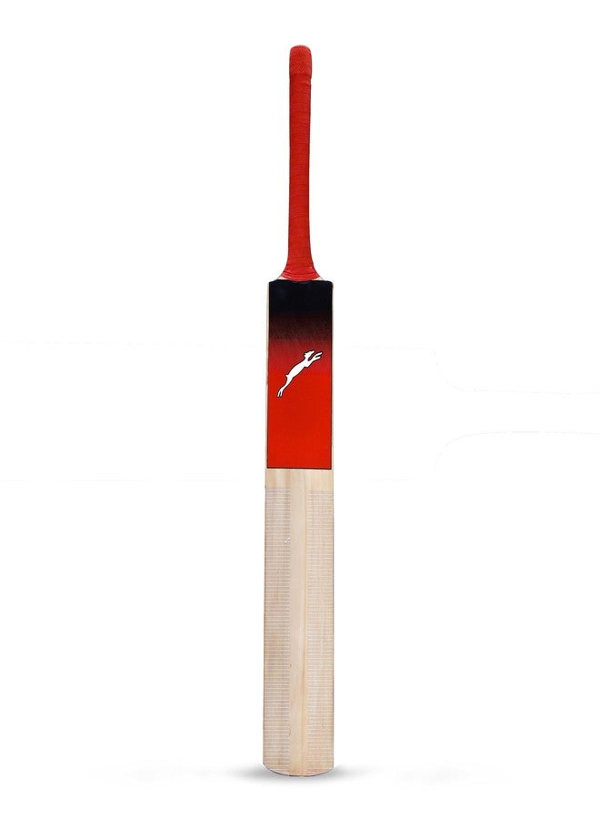 STAG GLOBAL Tennis Cricket BAT - Image 2