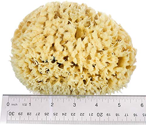 Newven Newven Sea wool baby bath sponge for natural healthy bathing dishes loofah sponges6 inch - Image 3