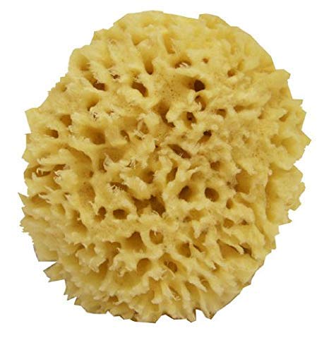 Newven Newven Sea wool baby bath sponge for natural healthy bathing dishes loofah sponges6 inch - Image 1