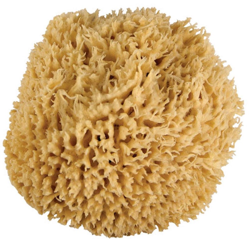 Newven Newven Sea wool baby bath sponge for natural healthy bathing dishes loofah sponges6 inch - Image 2