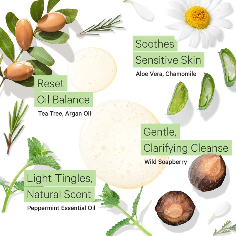 Tree to Tub Peppermint Shampoo for Oily Hair & Sensitive Scalp - Gentle Clarifying Shampoo for Build Up, Sulfate Free Anti Residue Hair Shampoo for Women & Men w/Organic Argan Oil, Natural Aloe Vera - Image 3