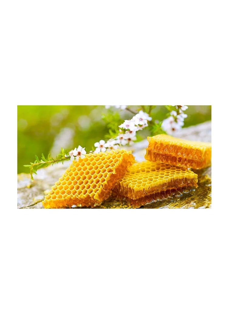 DownUnder Honey DownUnder Manuka Honey UMF 25+ (MGO 1200+)250g  - Image 2