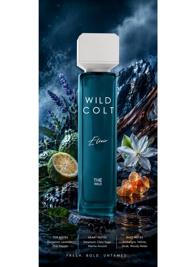 Assaf Perfume Wild Colt Elixir  200ML Eau De Parfum For Men - Image 3