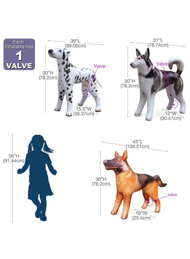 Jet Creations Inflatable Dog Trio: 30" Tall Husky, Dalmatian, German Shepherd, Realistic Animals Pets, Party Decoration, Education, Pool, Birthday, Photo Prop - Image 2