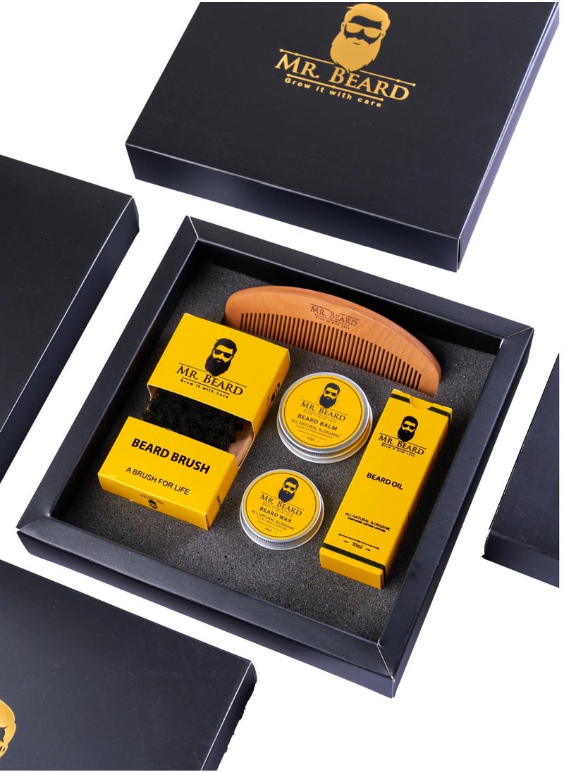 Mr.Beard - Men's Ultimate Beard Care Kit for Men with Bristle Beard Brush, Wooden Beard Comb, Beard Balm, Beard Oil, Beard Wax - Packaging May Vary - Image 1