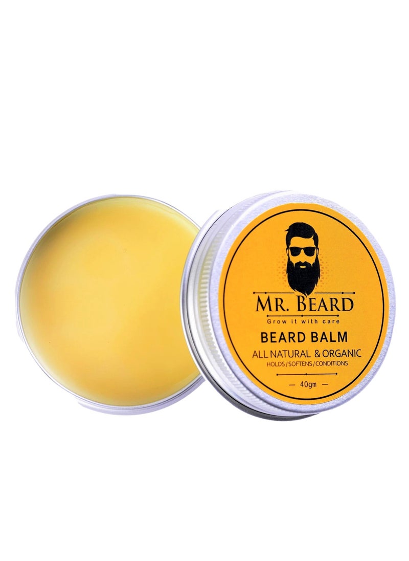 Mr.Beard - Men's Ultimate Beard Care Kit for Men with Bristle Beard Brush, Wooden Beard Comb, Beard Balm, Beard Oil, Beard Wax - Packaging May Vary - Image 1