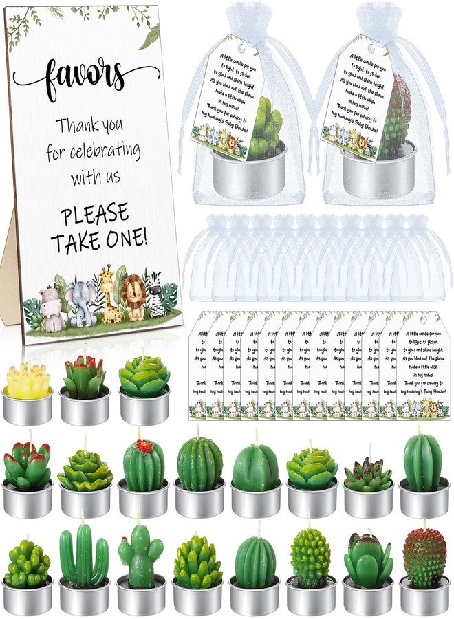 MTLEE 36 Sets Succulent Candles Baby Shower Favors for Guests Include 36 Plant Tealight Candles 36 Thank You Tags 36 Organza Bags Wooden Standing Sign for Gender Reveal Gifts(Safari) - Image 1