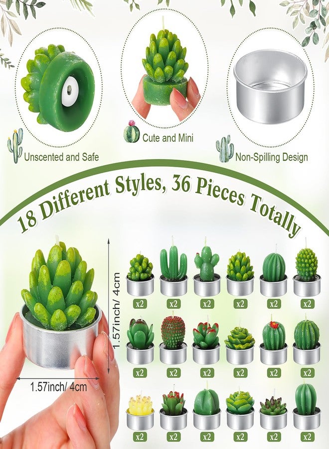 MTLEE 36 Sets Succulent Candles Baby Shower Favors for Guests Include 36 Plant Tealight Candles 36 Thank You Tags 36 Organza Bags Wooden Standing Sign for Gender Reveal Gifts(Safari) - Image 3