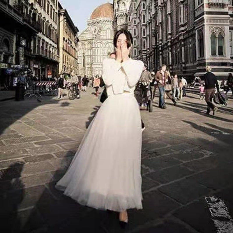 Mesh Skirt Womens Spring New Large Swing A- line Gauze Skirt Mid-length Korean-style Pleated High Waist Puff Fairy Skirt Nude - Image 5