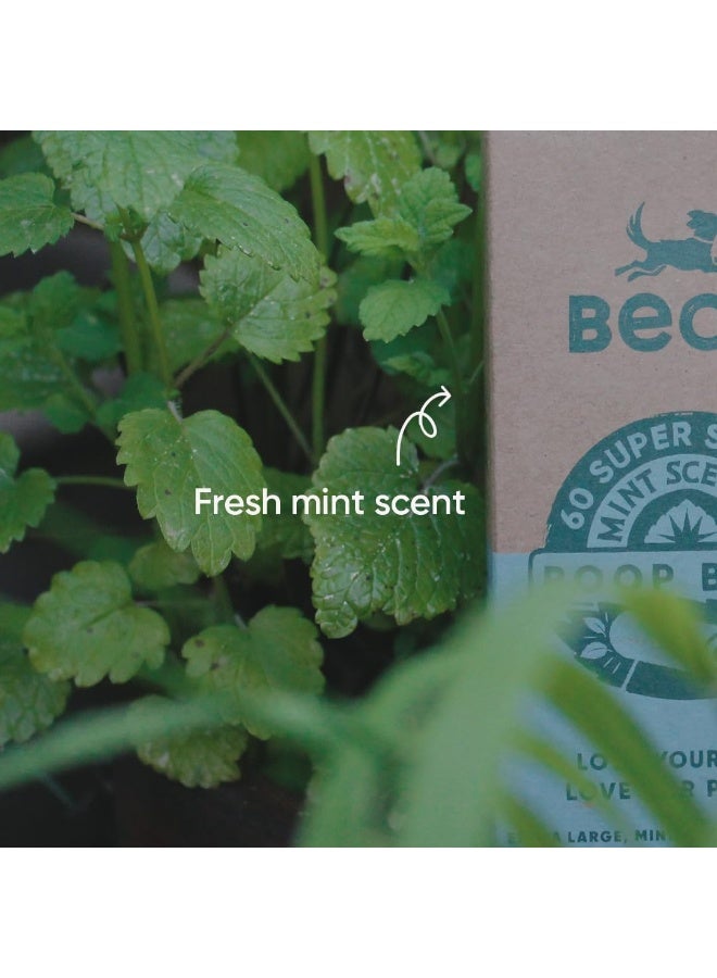 BECO أكياس بيكو برائحة النعناع 120 قطعة - Image 5