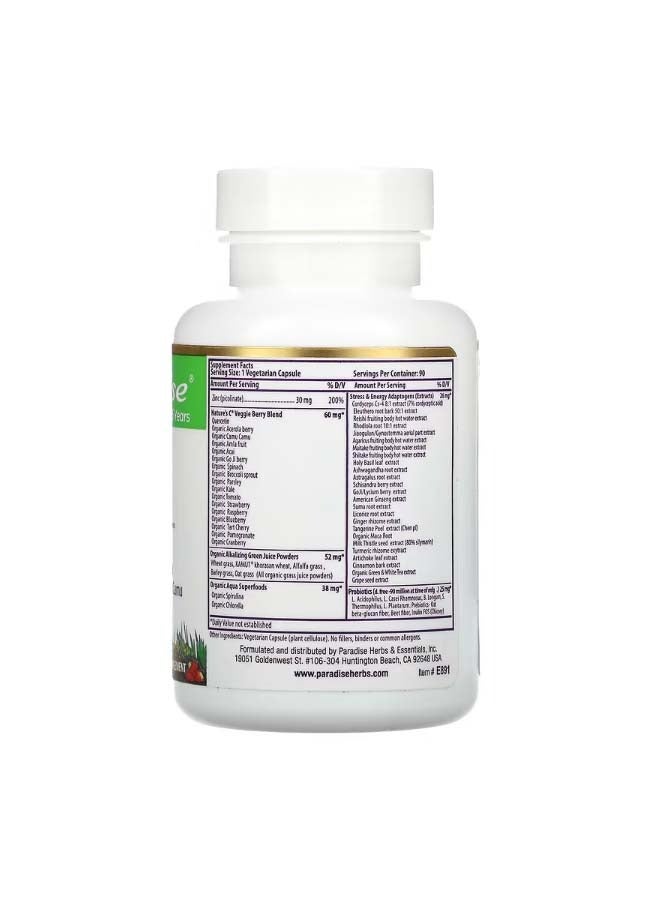 بارادايس هيربس Earth's Blend Zinc Picolinate 90 Vegetarian Capsules - Image 2