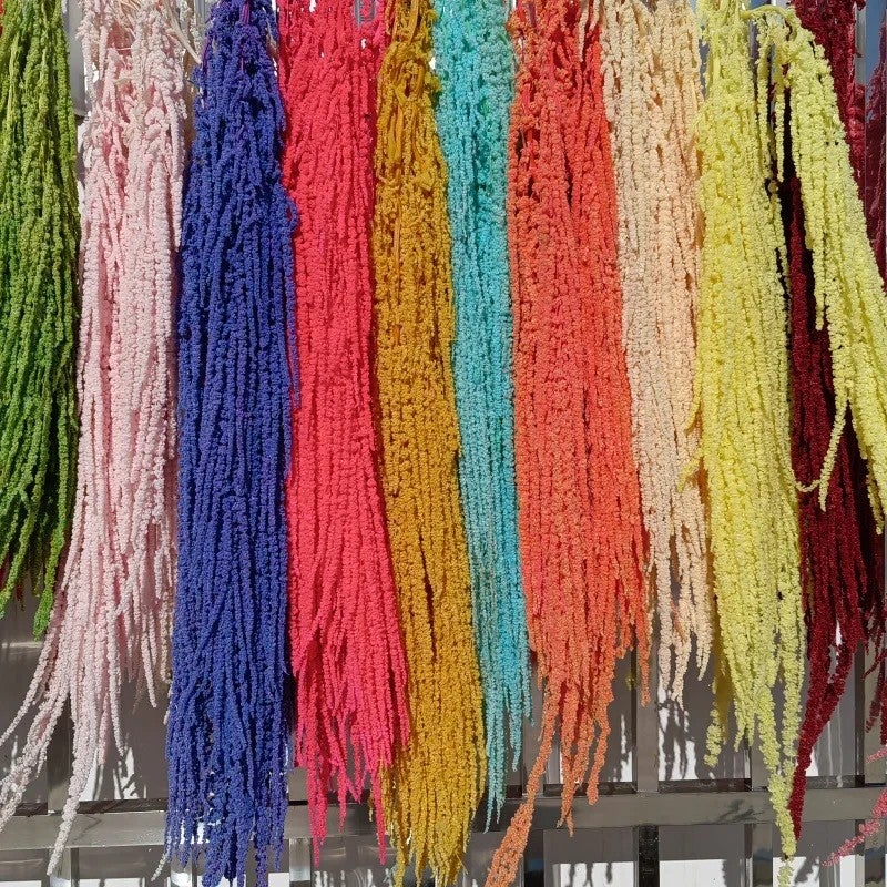 Bluejw Best Price Natural Preserved Dried Amaranthus Flowers – Long-Lasting Hanging Dried Plants for Wedding Decor, Bouquets & Home Arrangements - Image 3