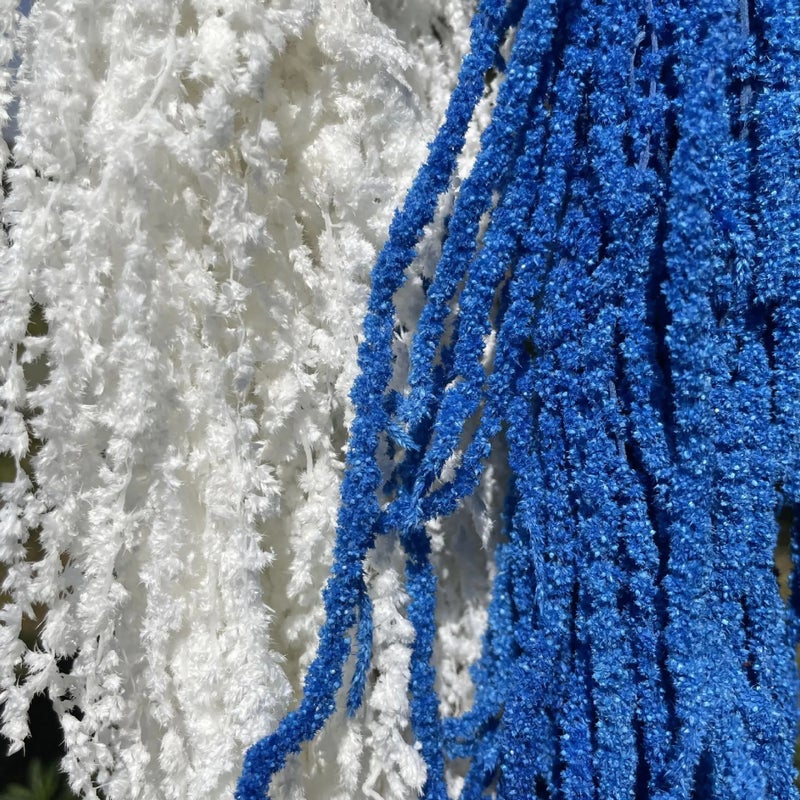 Bluejw Best Price Natural Preserved Dried Amaranthus Flowers – Long-Lasting Hanging Dried Plants for Wedding Decor, Bouquets & Home Arrangements - Image 4