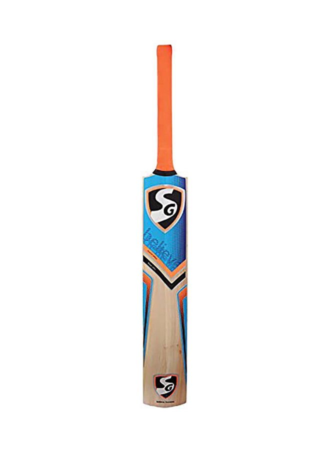 SG - Rsd Plus Kashmir Willow Cricket Bat - Image 1