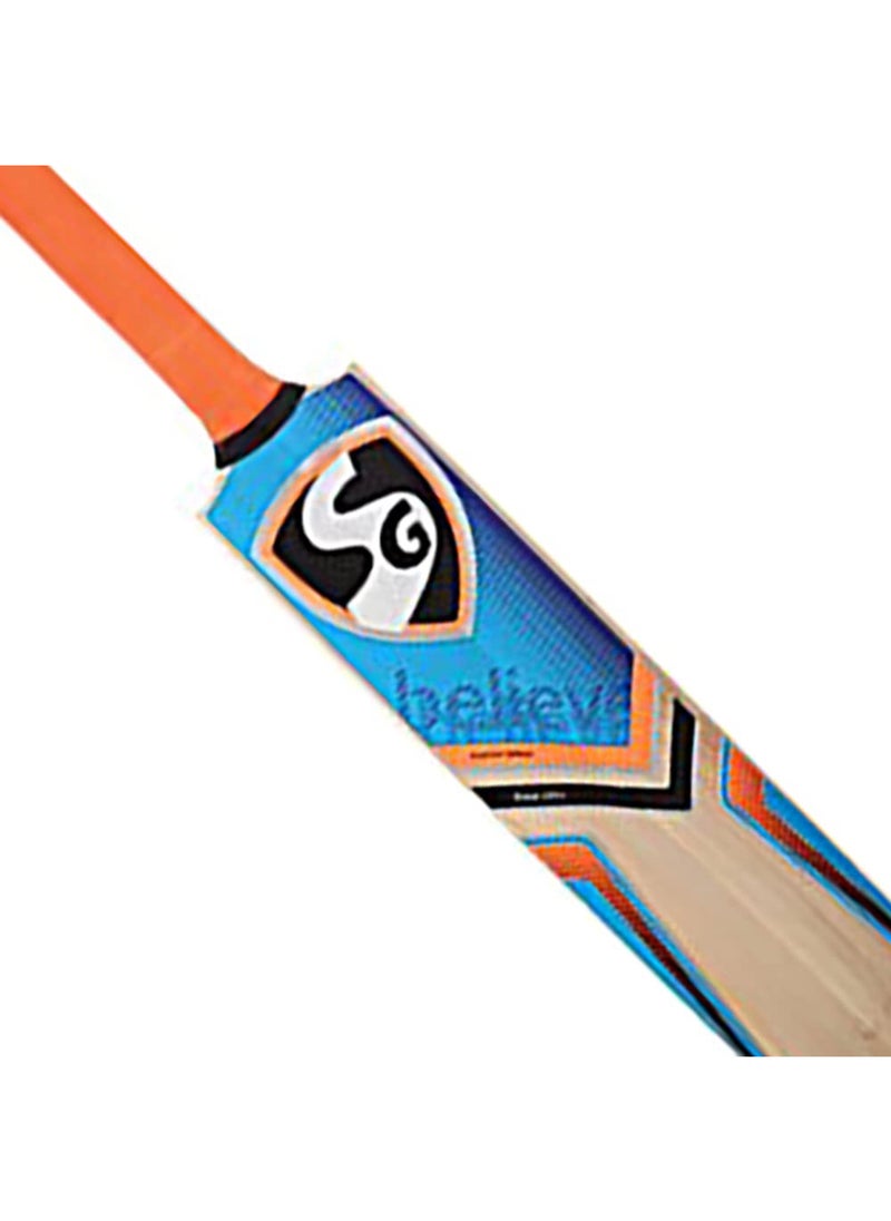SG - Rsd Plus Kashmir Willow Cricket Bat - Image 1