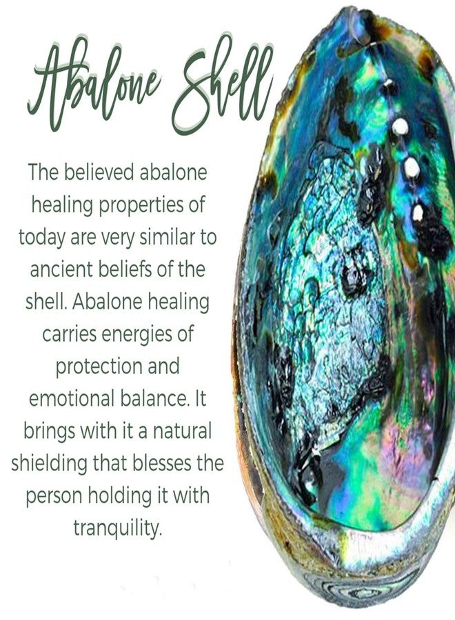 sedmart Wire Wrapped Abalone Teardrop Necklace - Handmade Silver Abalone Shell Water Drop Tree of Life Pendent Jewelry for Women - Image 5