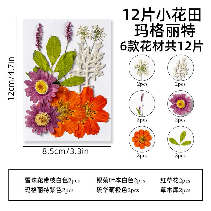 Postcard Retro Ins Style Scenery Healing Dreamy Artistic Dried Flower Greeting Card Illustration Christmas Gift Message Wall - Image 1