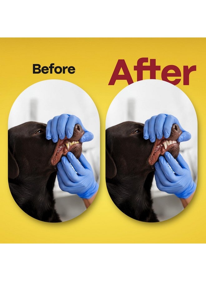 دوكو مناديل تنظيف أسنان الكلاب بنكهة الدجاج، 50 منديلًا لتنظيف أصابع الأسنان للكلاب والقطط، مزيلة للبلاك والجير، تمنح نفسًا منعشًا، بدون شطف، مجموعة تنظيف أسنان الحيوانات الأليفة سهلة وفعالة للعناية بالفم - Image 5