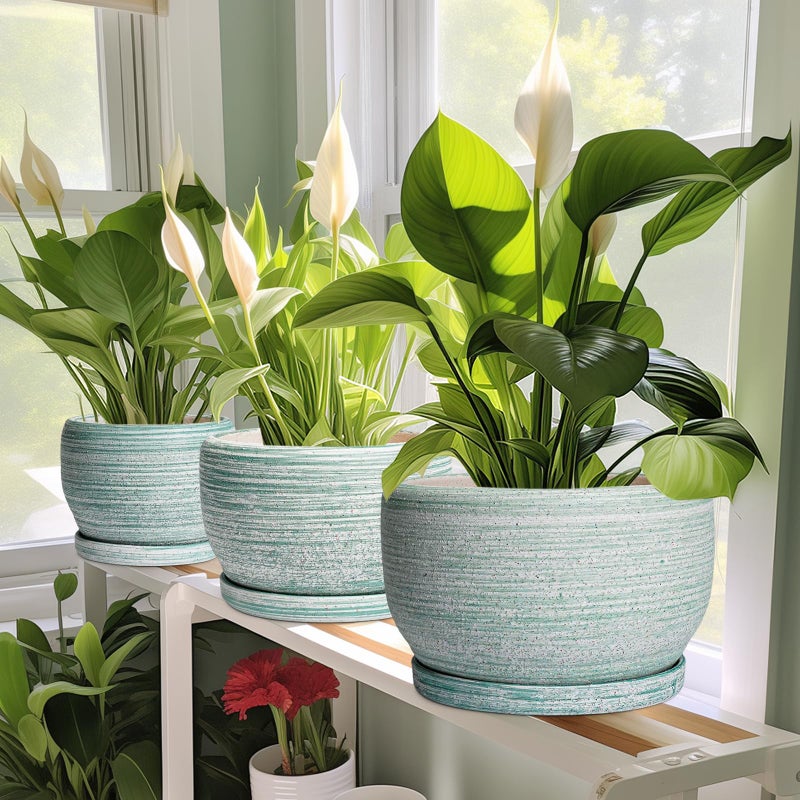 SQOWL Ceramic Plant Pots - 6 Inch Planter with Drainage Hole and Tray, Round Flower Pot for Indoor Plants, Decorative Succulent Planter Outdoor, Home House Decor, Gifts for Women Men, Green - Image 5