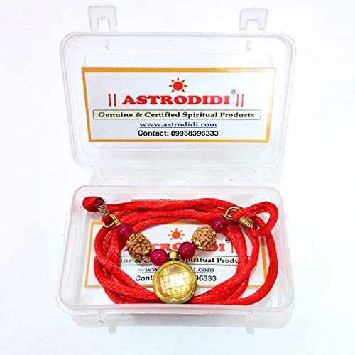 ASTRODIDI Mesh Rashi Kavach Locket/Aries Zodiac Sign Pendant Kawach - Image 2