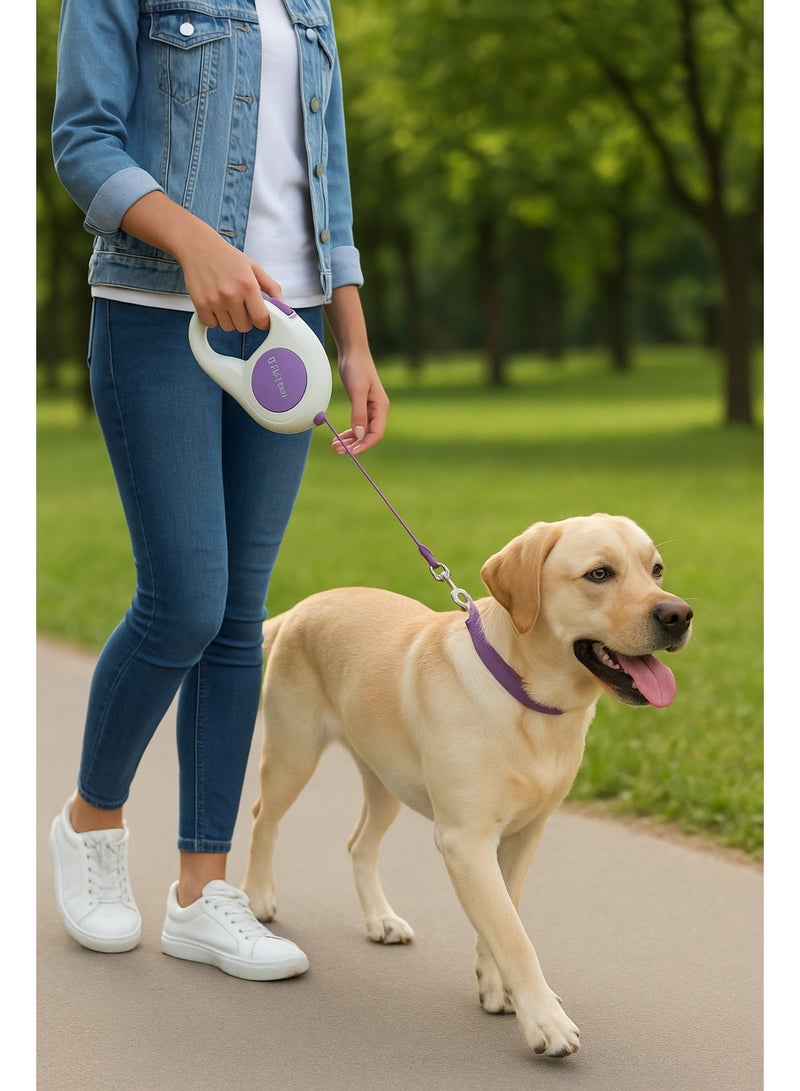 Retractable Dog Leash 5M Automatic Flexible Dog Puppy Cat Traction Rope Belt Dog Leash For Small Medium Dogs Pet Supplies With front lighting - Image 5