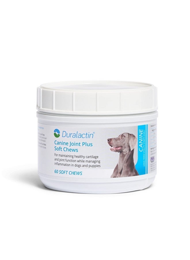 PRN Pharmacal Duralactin Canine Joint Plus - Joint Health Supplement for Dogs & Puppies to Support Healthy Cartilage Levels & Joint Function While Helping Manage Soreness - 60 Soft Chews - Image 1