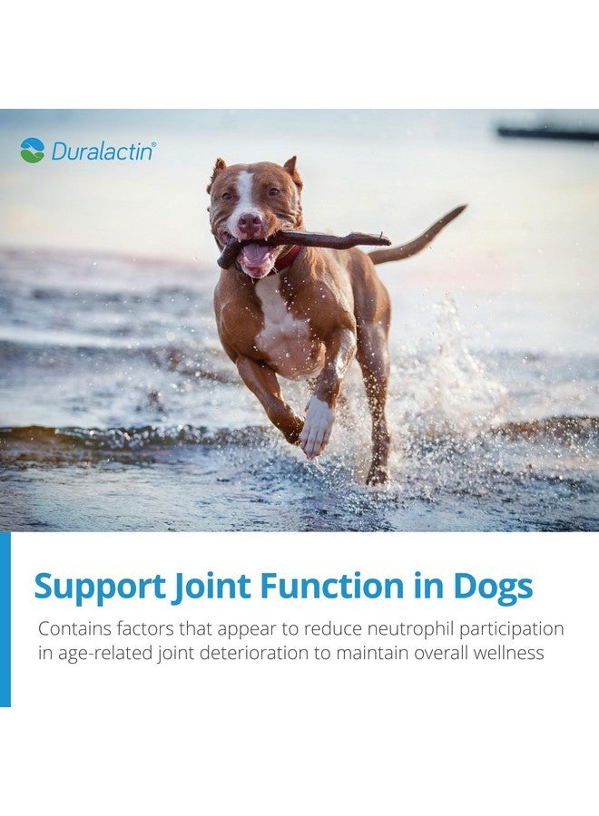 PRN Pharmacal Duralactin Canine Joint Plus - Joint Health Supplement for Dogs & Puppies to Support Healthy Cartilage Levels & Joint Function While Helping Manage Soreness - 60 Soft Chews - Image 5