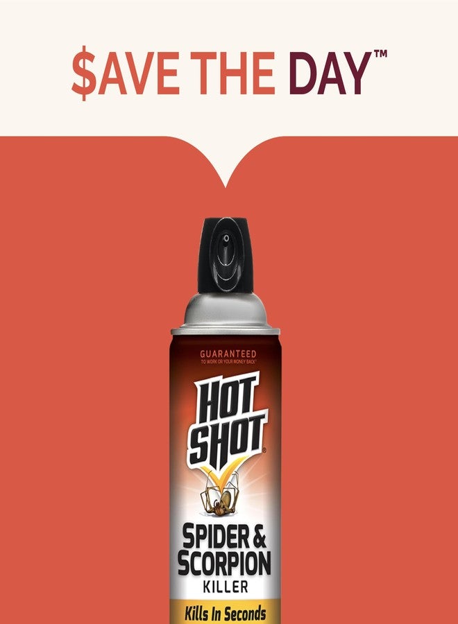 Hot Shot Spider & Scorpion Killer (Aerosol), Kills Large Spiders and Scorpions in Seconds, Including Black Widow, Brown Recluse and Wolf Spiders, 16 Ounces - Image 5