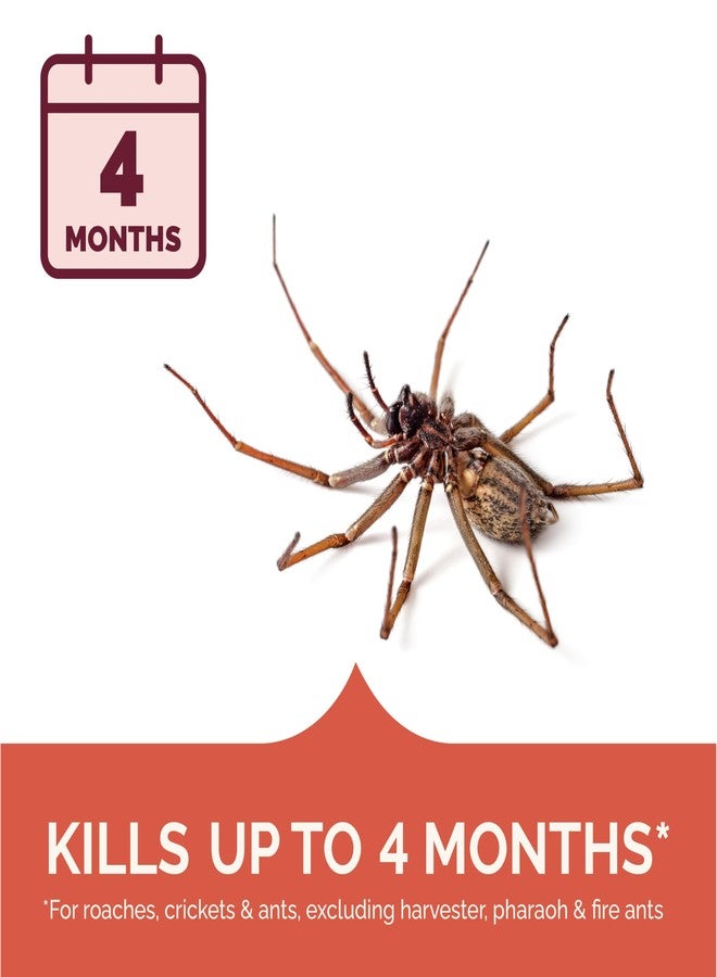 Hot Shot Spider & Scorpion Killer (Aerosol), Kills Large Spiders and Scorpions in Seconds, Including Black Widow, Brown Recluse and Wolf Spiders, 16 Ounces - Image 2