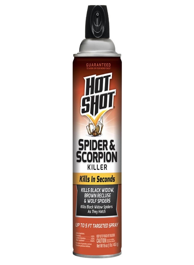 Hot Shot Spider & Scorpion Killer (Aerosol), Kills Large Spiders and Scorpions in Seconds, Including Black Widow, Brown Recluse and Wolf Spiders, 16 Ounces - Image 1
