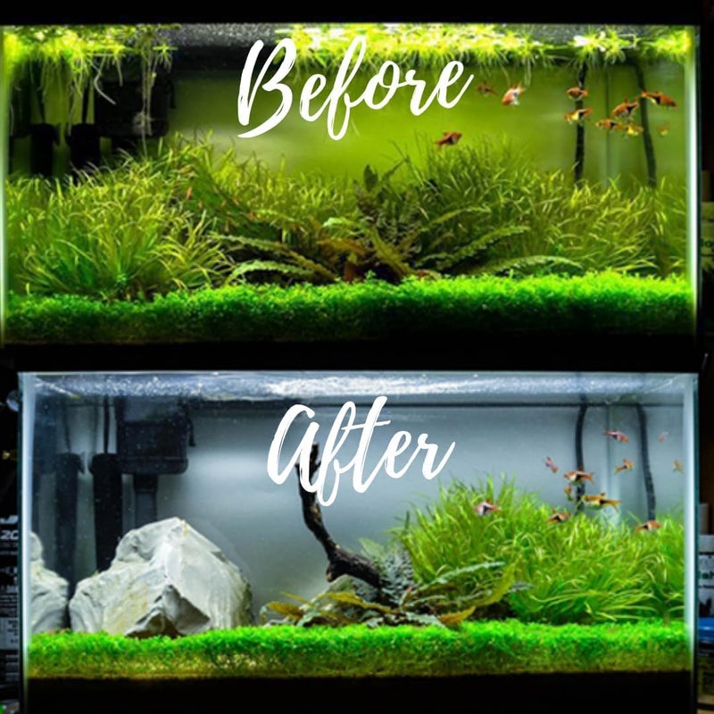 VAYINATO Aquatic Remedies (Pack of 2 * 120ml UCF- Ultra Clear Flocculant) Aquarium Fish Tank Water Clarifier | Quickly Removes Cloudiness | Suitable for Fresh Water - Image 5