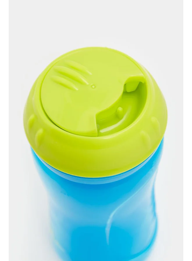 مذركير فنجان الفيل الأول