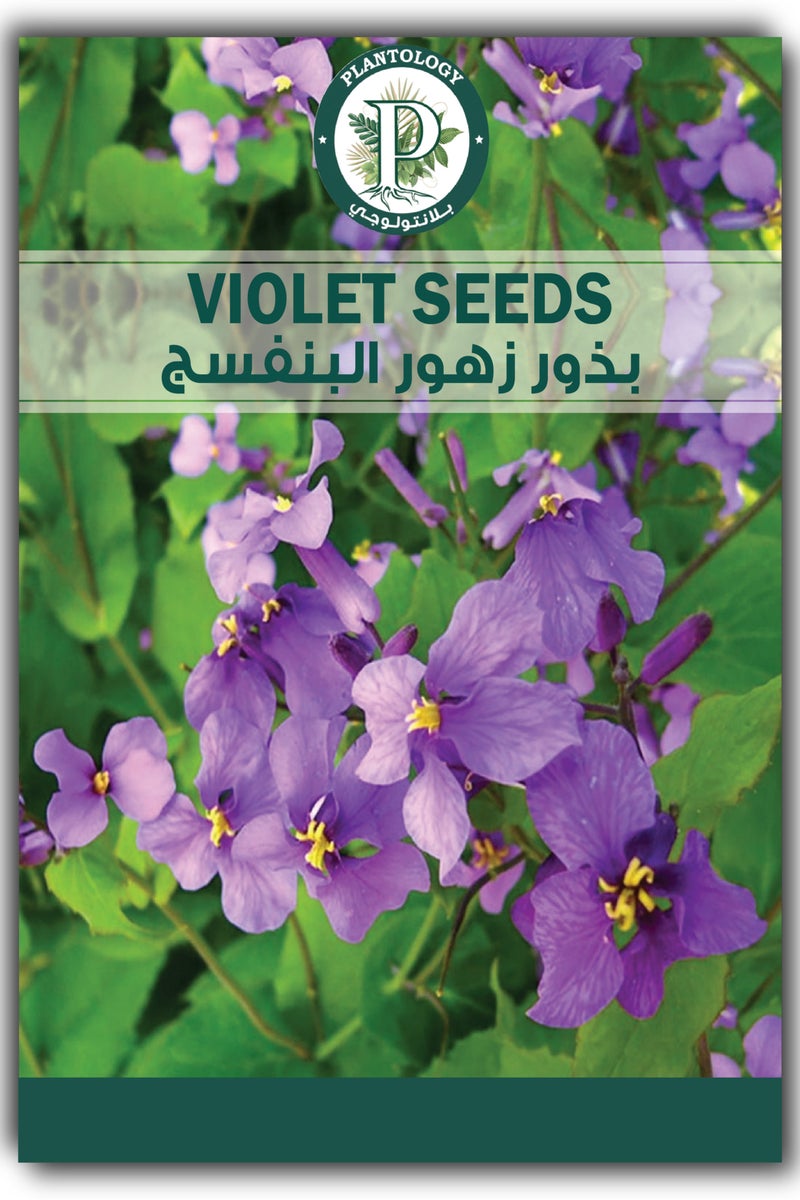 Violet Seeds for Planting - Purple Flower Seeds for Planting in Home Garden Lawn