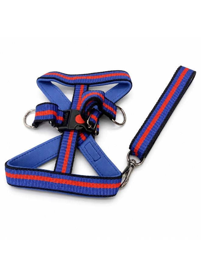 Bravo Premium Heavy PP Adjustable Dog Harness and Leash Set, Blue and Red - Image 1