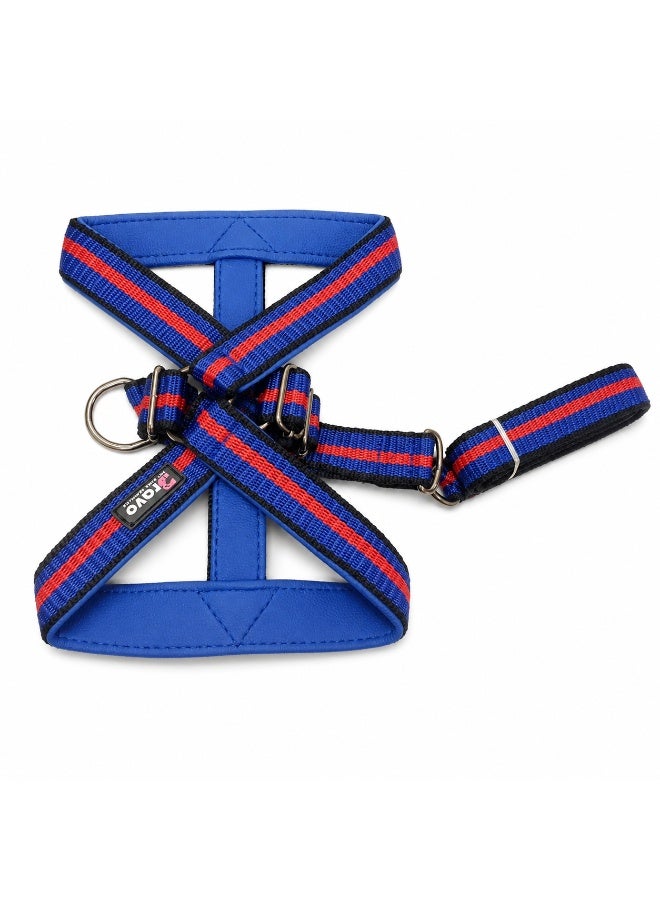 Bravo Premium Heavy PP Adjustable Dog Harness and Leash Set, Blue and Red - Image 2