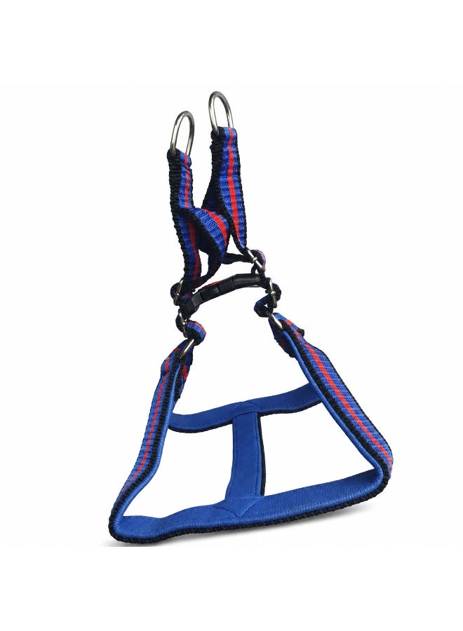 Bravo Premium Heavy PP Adjustable Dog Harness and Leash Set, Blue and Red - Image 4