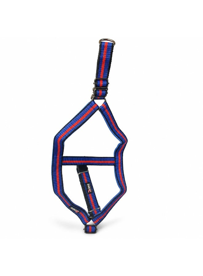 Bravo Premium Heavy PP Adjustable Dog Harness and Leash Set, Blue and Red - Image 5