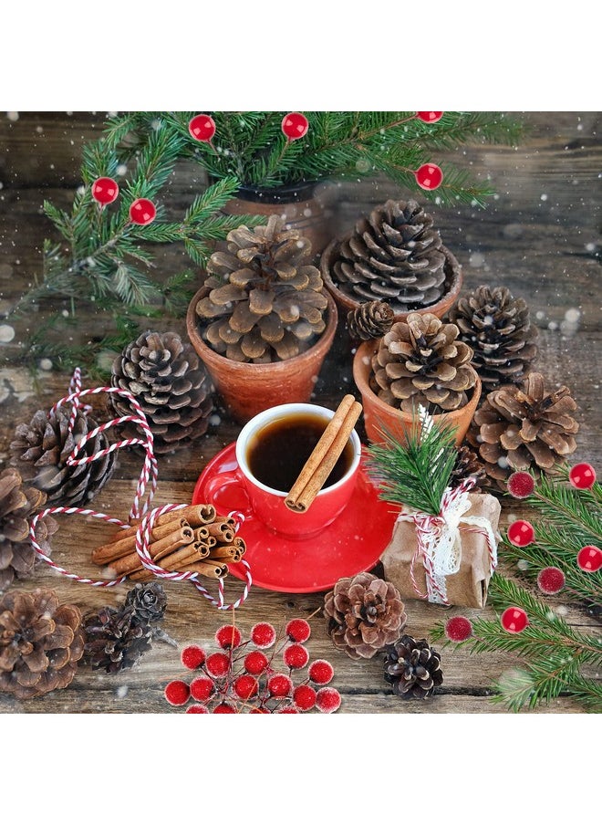 Whaline Whaline 241Pcs Christmas Wreath Making Decoration Artificial Pine Cone Red Berry Picks Fake Natural Pinecones Branches Xmas Tree Ornament Vase Filler Wreath Bulk Decor for Christmas Winter Party  - Image 4