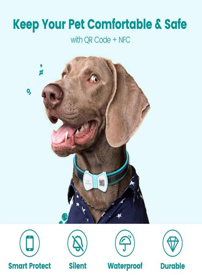 بطاقة تعريف الحيوانات الأليفة الذكية PawView، بطاقة تعريف للكلاب برمز الاستجابة السريعة، بدون رسوم، بطاقة اسم للحيوانات الأليفة مصنوعة من السيليكون المقاوم للماء والصامت مع تنبيه فوري للموقع عند المسح الضوئي، ربطة عنق أنيقة، إكسسوار رائع للكلاب في عيد الفصح والربيع (أزرق بيض طائر الروبين) - Image 4
