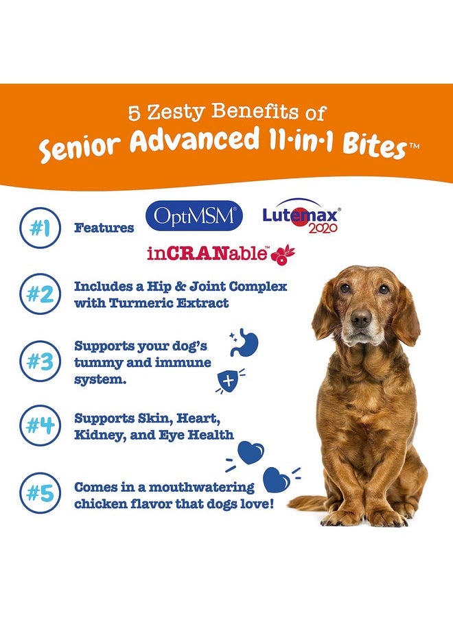 Zesty Paws - Senior Dog Multivitamin Treats  Glucosamine For Dogs + Digestive Enzymes & Probiotics  Grain Free Dog Vitamins For Skin & Coat + Immune Health Chicken  Advanced  90Ct - Image 1