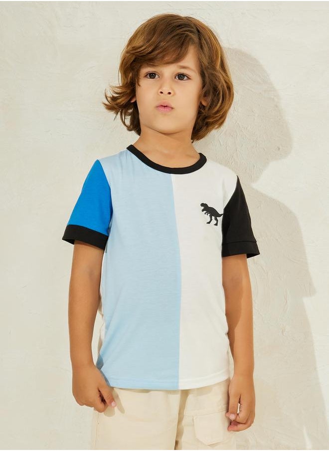 Color Block Round Neck T-Shirt - pzsku/Z1B71A9B5640FE2237A11Z/45/_/1720199333/e6e0e4d6-6566-4877-aec9-699a9910d242