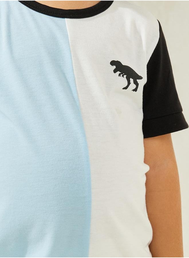 Color Block Round Neck T-Shirt - pzsku/Z1B71A9B5640FE2237A11Z/45/_/1720199353/3f1451e1-2816-4cf3-9fa4-fcc2d4526311