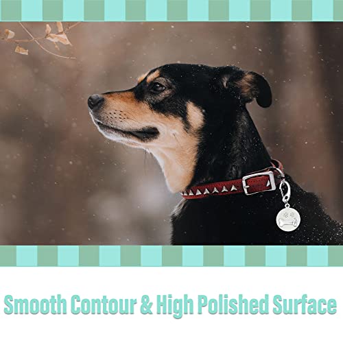 Divoti Pet Tag Quick Clip/Sping-Load Hook Combo for Pet ID Tags - 2 Large - Image 2