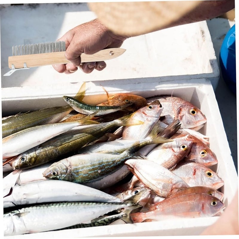 أداة DIY لإزالة الطلاء بفرشاة سلك معدني مقاس 4 بوصات للتنظيف - Image 4