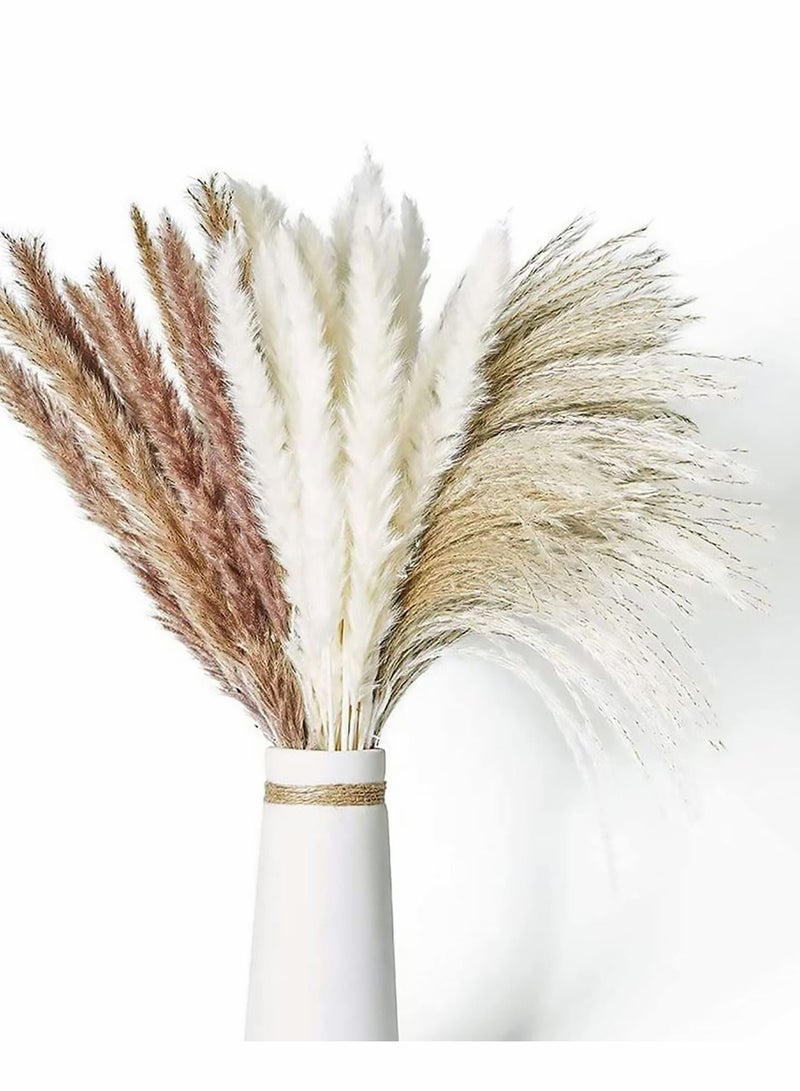 Dried Pampas Grass 60 Pcs Boho Natural Flowers Arrangements White Reed Bunny Tails for Home Decor Flower Living Room Balcony Wedding Party - Image 1