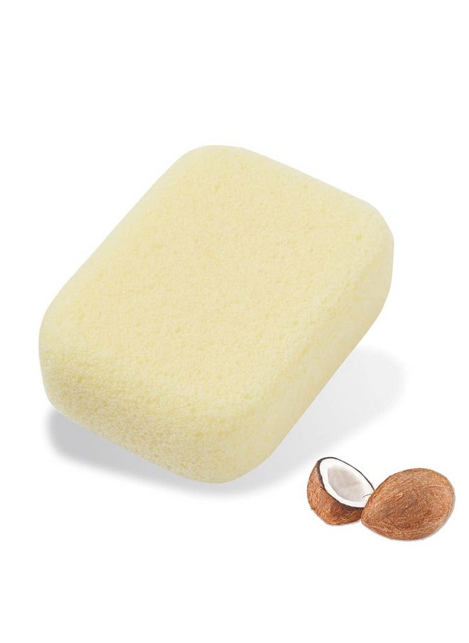 Terra Distribution - Pumice Stone For Feet Body Hands [Made In Japan] Coconut Oil Blended For Extra Fine Smooth Finish Soft Foot Pumice Scrubber - Image 1