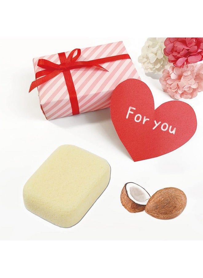 Terra Distribution - Pumice Stone For Feet Body Hands [Made In Japan] Coconut Oil Blended For Extra Fine Smooth Finish Soft Foot Pumice Scrubber - Image 1
