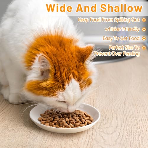 Kitwinney Ceramic Elevated Cat Bowls - Whisker Friendly, Anti-Vomiting Cat Food Plate, Stylish, Safe and Hygienic (Fishboon, 1 Pack) - Image 2