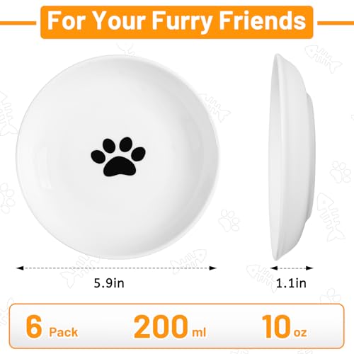 Kitwinney Ceramic Elevated Cat Bowls - Whisker Friendly, Anti-Vomiting Cat Food Plate, Stylish, Safe and Hygienic (Fishboon, 1 Pack) - Image 4